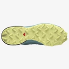 Kép 4/6 - Salomon Speedcross 5 női north atlantic